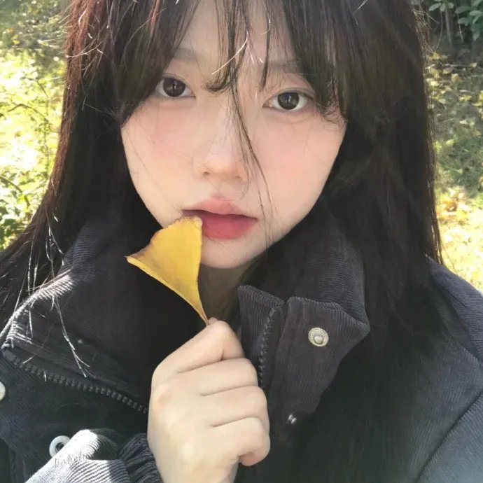 旋风客海报