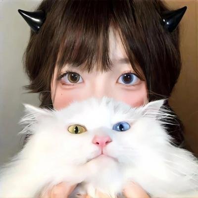 内战圣伯纳犬海报