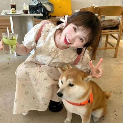摇滚藏獒:乘风破浪海报