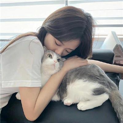 我的战舰能升级 动态漫画海报